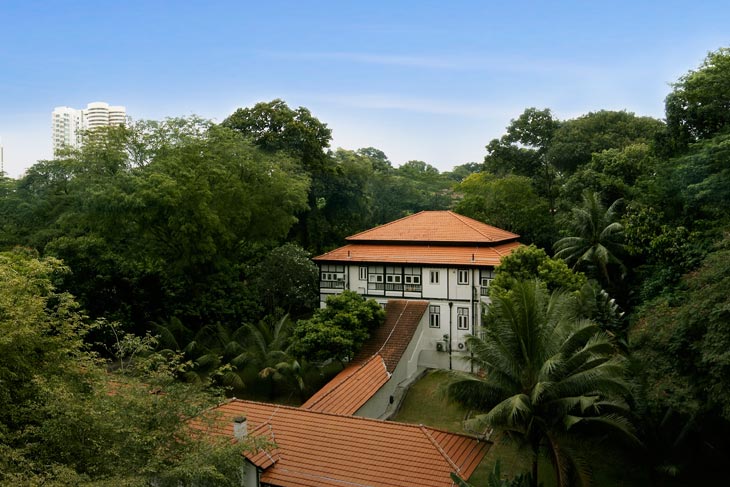 View of conservation area, Goodwood Hills, from living areas